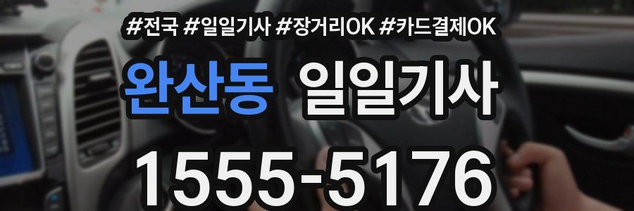 완산동 일일기사