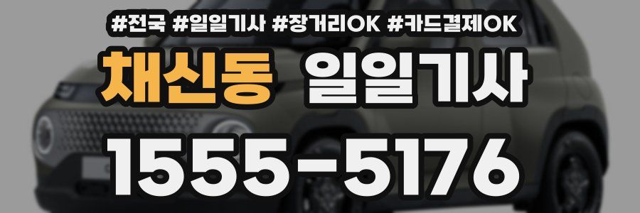 채신동 일일기사