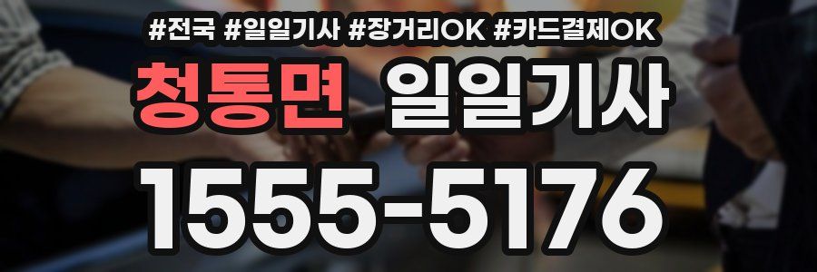 청통면 일일기사