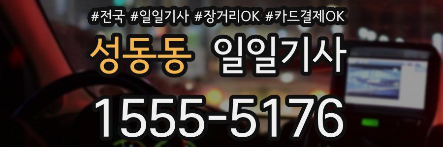 성동동 일일기사