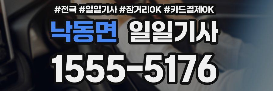 낙동면 일일기사