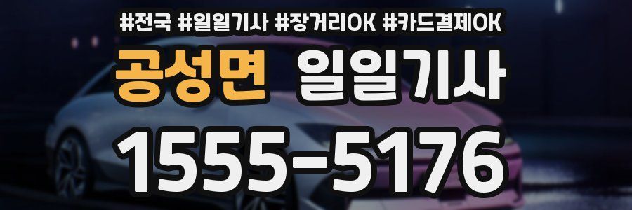 공성면 일일기사