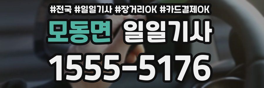 모동면 일일기사