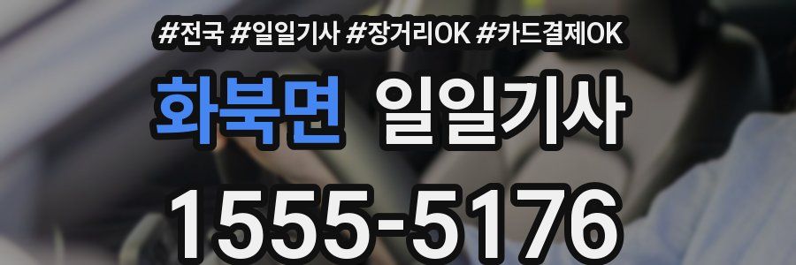 화북면 일일기사