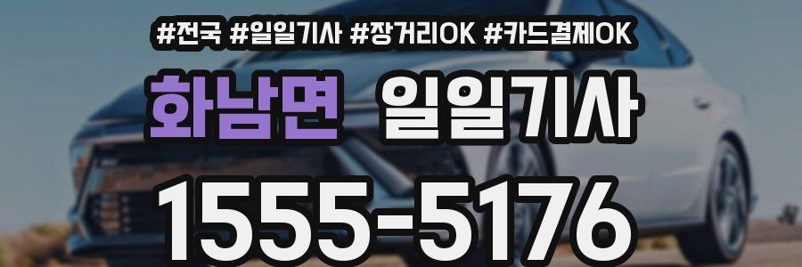 화남면 일일기사