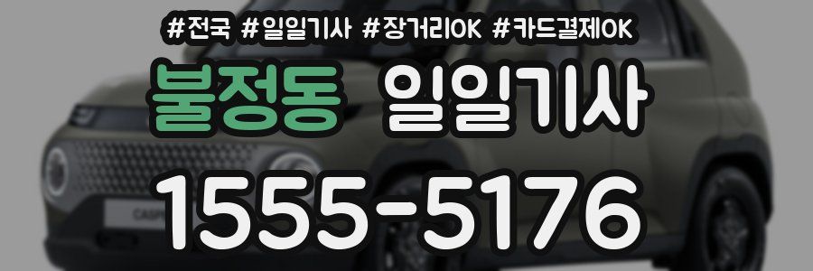 불정동 일일기사