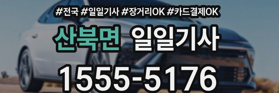 산북면 일일기사