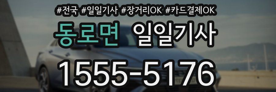 동로면 일일기사