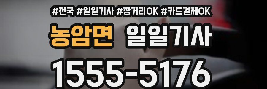 농암면 일일기사