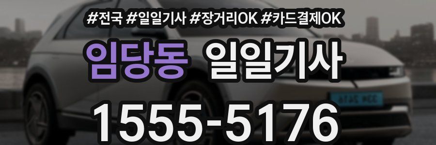 임당동 일일기사