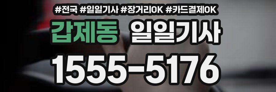 갑제동 일일기사