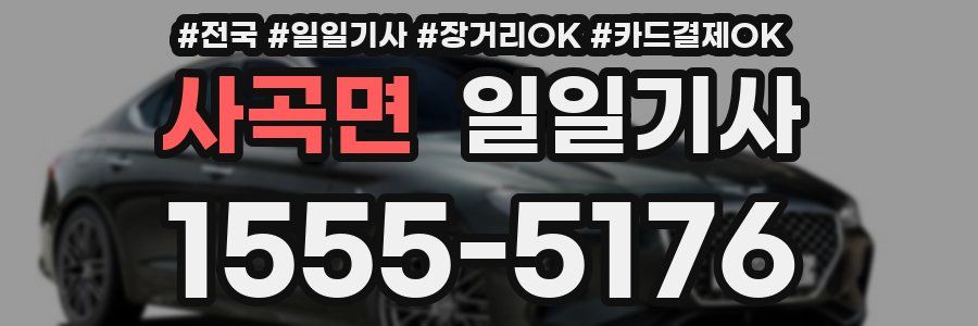 사곡면 일일기사