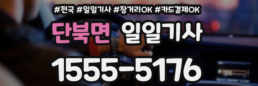 단북면 일일기사