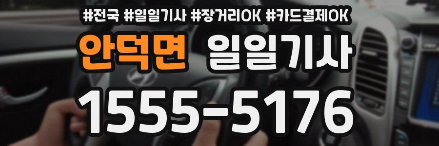 안덕면 일일기사