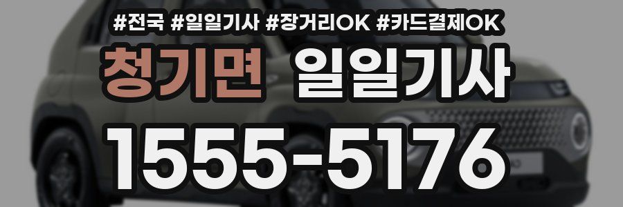 청기면 일일기사