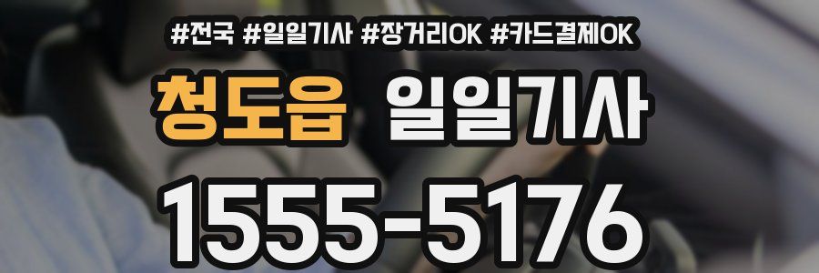 청도읍 일일기사