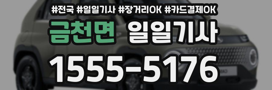 금천면 일일기사