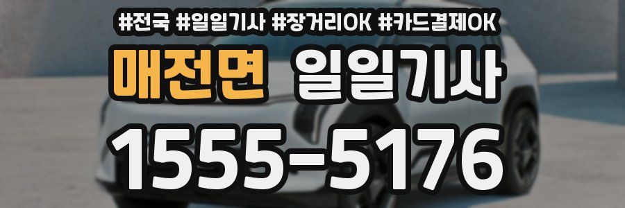매전면 일일기사