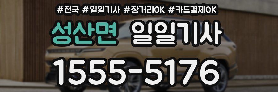 성산면 일일기사