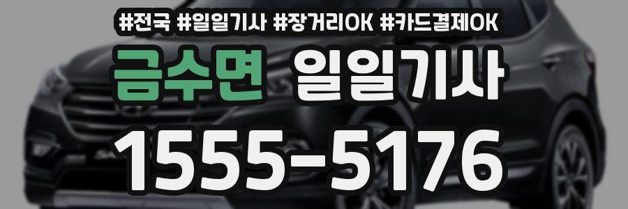 금수면 일일기사