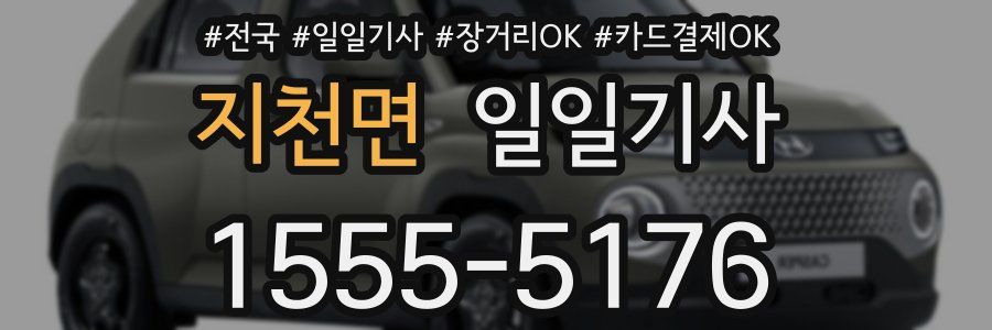 지천면 일일기사