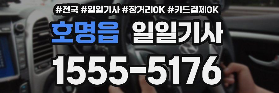 호명읍 일일기사