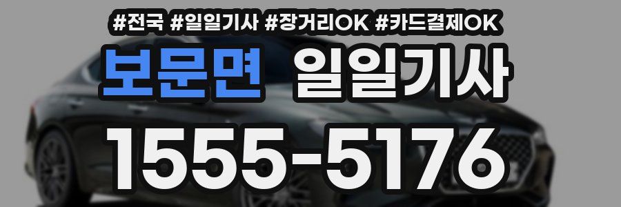 보문면 일일기사