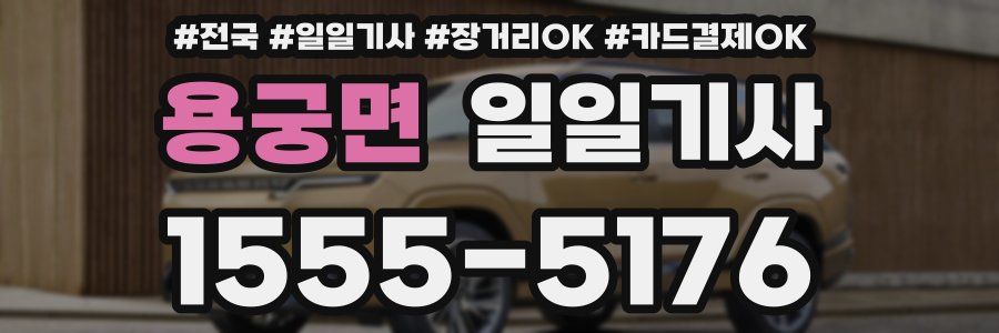 용궁면 일일기사