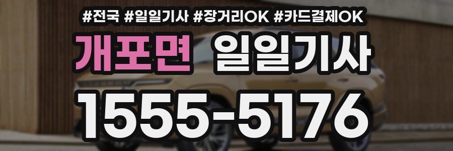 개포면 일일기사