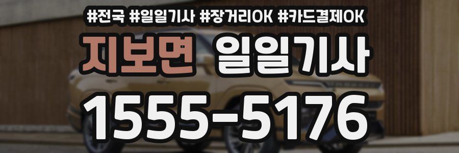 지보면 일일기사