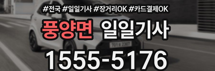 풍양면 일일기사