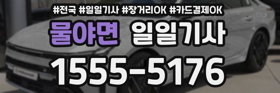 물야면 일일기사