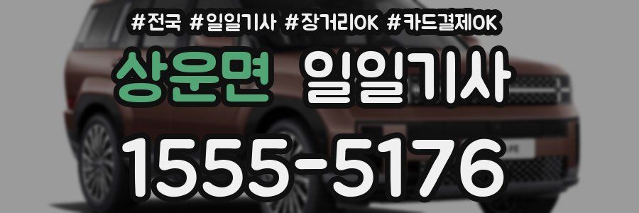 상운면 일일기사