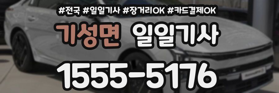 기성면 일일기사