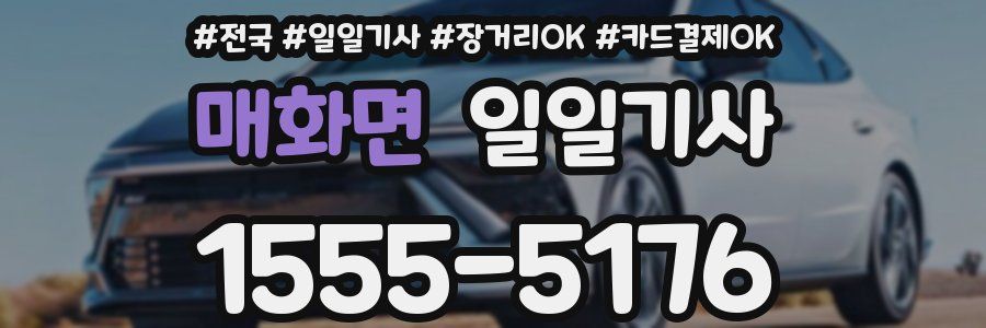 매화면 일일기사