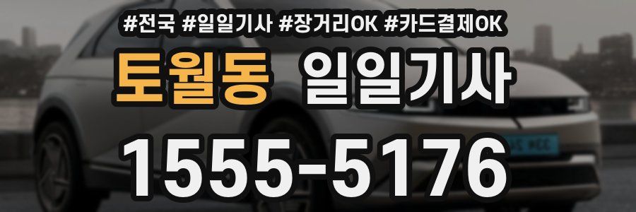 토월동 일일기사