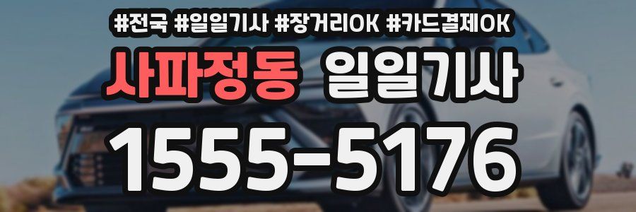 사파정동 일일기사
