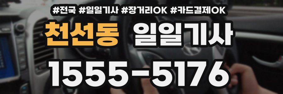 천선동 일일기사