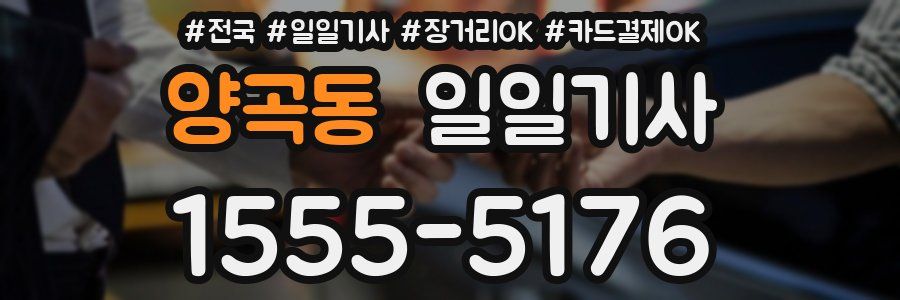 양곡동 일일기사