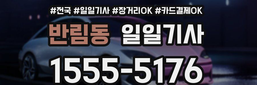 반림동 일일기사