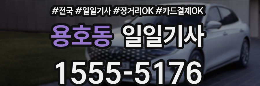 용호동 일일기사