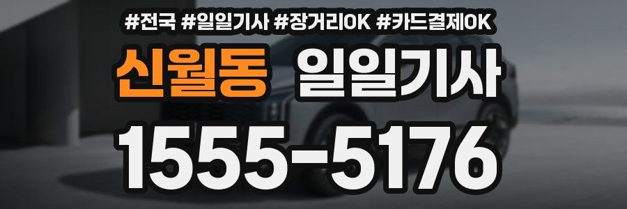 신월동 일일기사