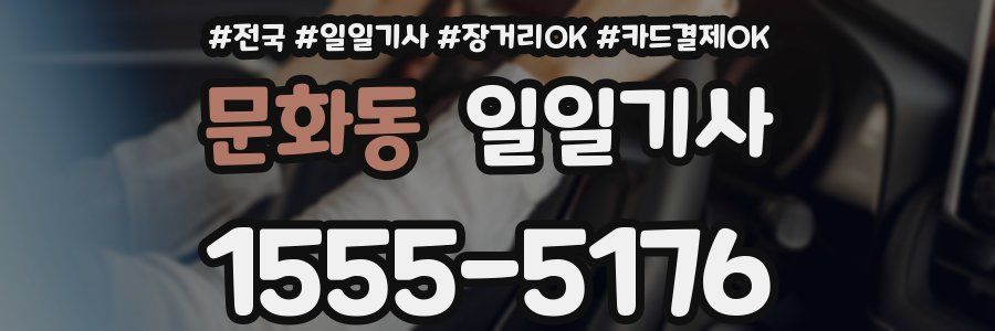 문화동 일일기사