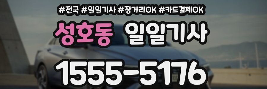 성호동 일일기사