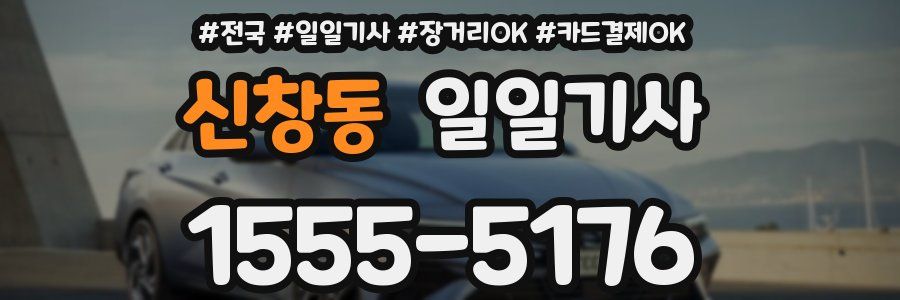 신창동 일일기사
