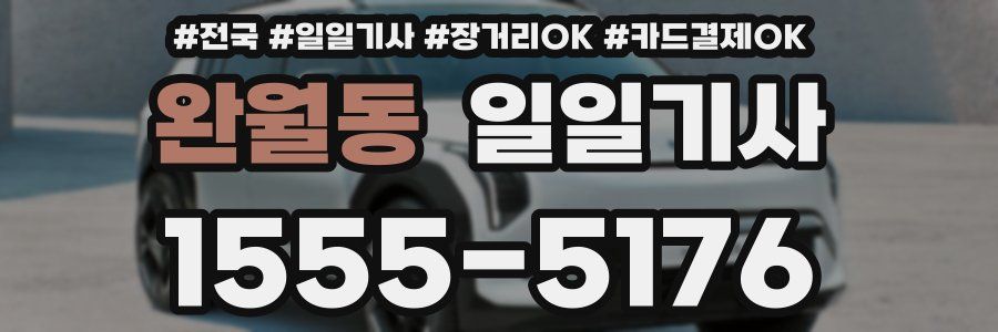 완월동 일일기사