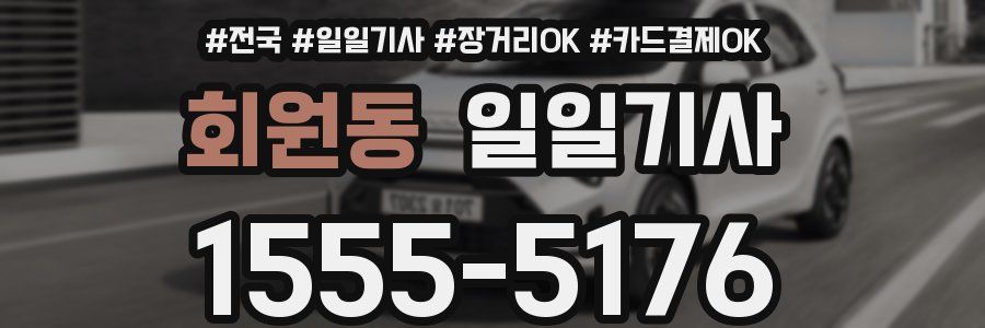 회원동 일일기사