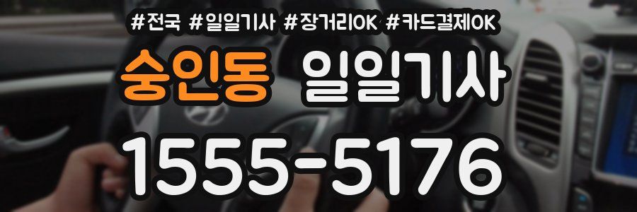 숭인동 일일기사