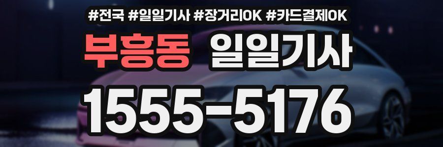 부흥동 일일기사