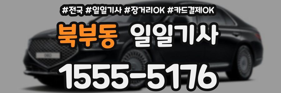 북부동 일일기사